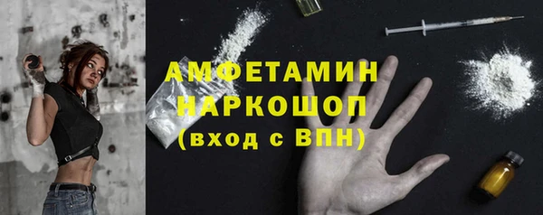 твердый Гусь-Хрустальный