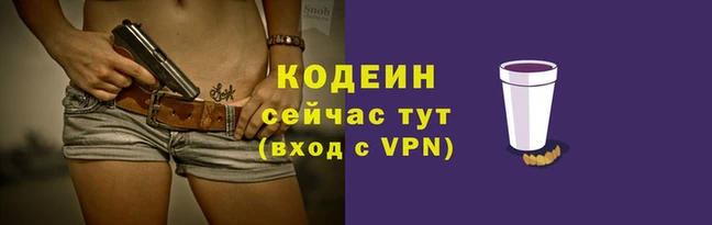 первитин Гусев