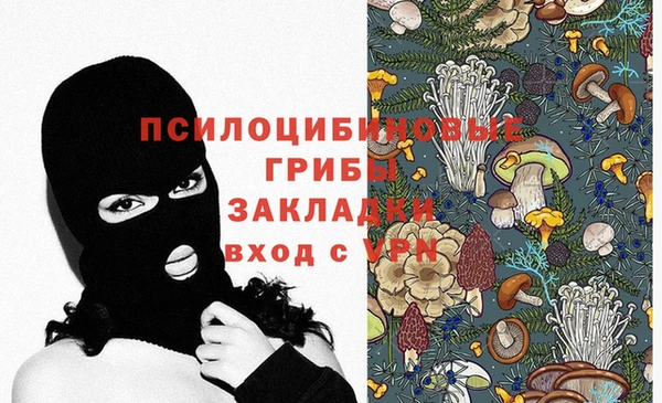 твердый Гусь-Хрустальный