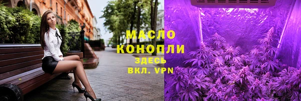 первитин Гусев