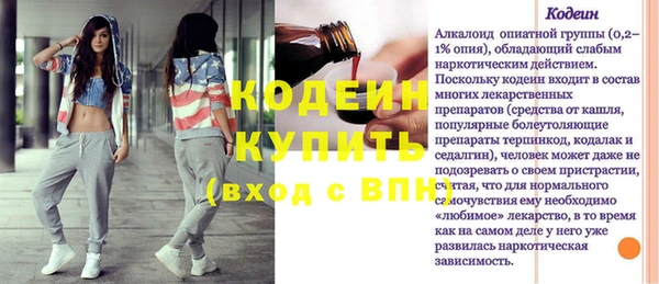 первитин Гусев