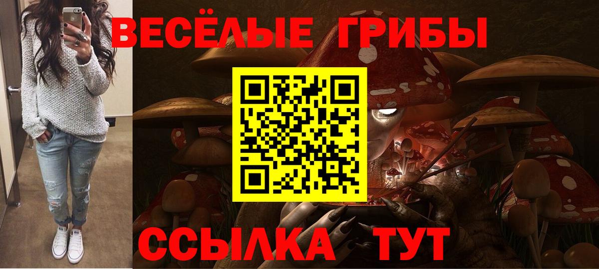 Георгиевск  Псилоцибиновые грибы мухоморы  Вход с VPN 