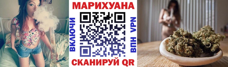 Каннабис планчик Георгиевск